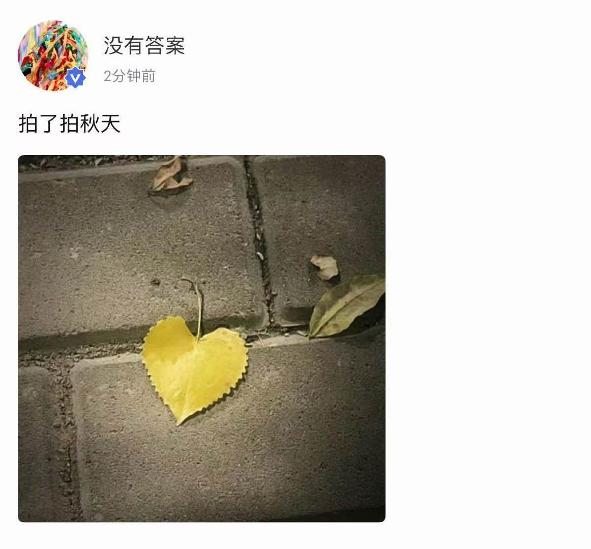 宋亚轩高会表白粉丝宋亚轩拍了秋天 宋亚轩拍了秋天！ ​​​