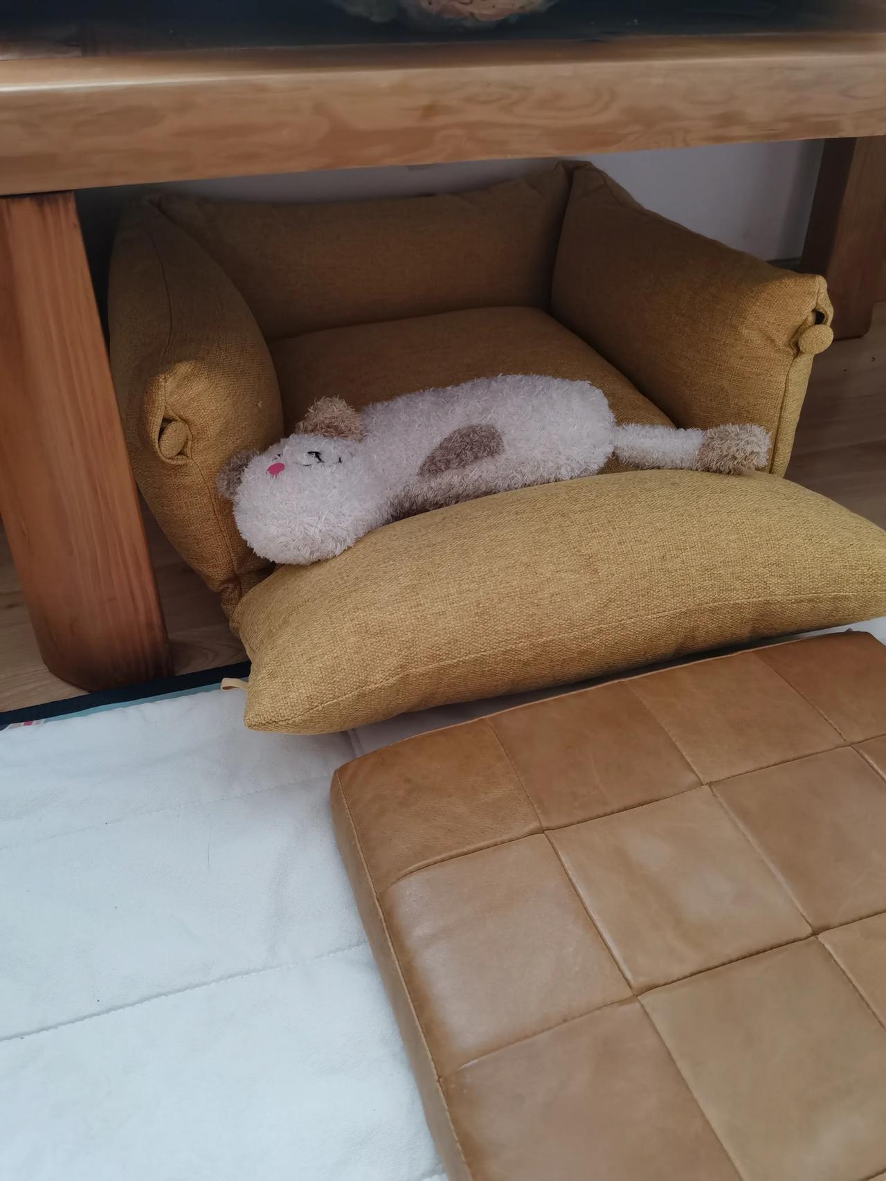 妈妈说：我们白天上班，鸳鸯在家特别乖，吃饭睡觉溜达，有一套自己的节奏。就是她特别