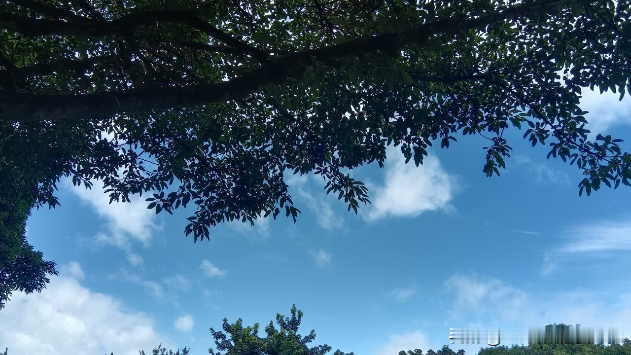 7月5日，收到不好的消息，做了快4年的品种，快要黄了，做不下去了，留下一堆烂摊子