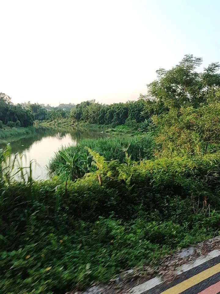 打工人周末就得逃离城市，去乡下拍拍自然风景！长顺秋坡就很不错，视野开阔没吵闹声，