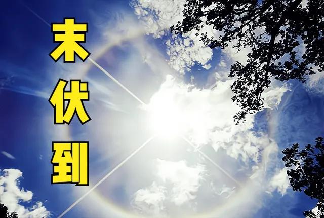 明日入末伏不一般，有1个坏消息，3个好消息，早了解早做准备

明日进入末伏，今年