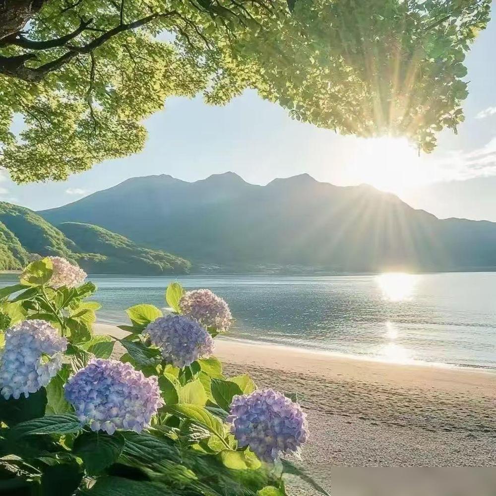 花大价钱买件所谓的羽绒服，撕开一看全是扎人的碎硬梗，这种缺德买卖真是把良心当了路