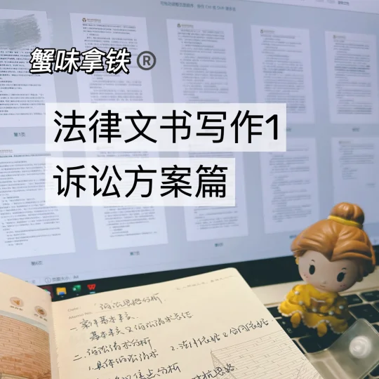☕️法律文书写作1：诉讼方案篇｜蟹味拿铁®️