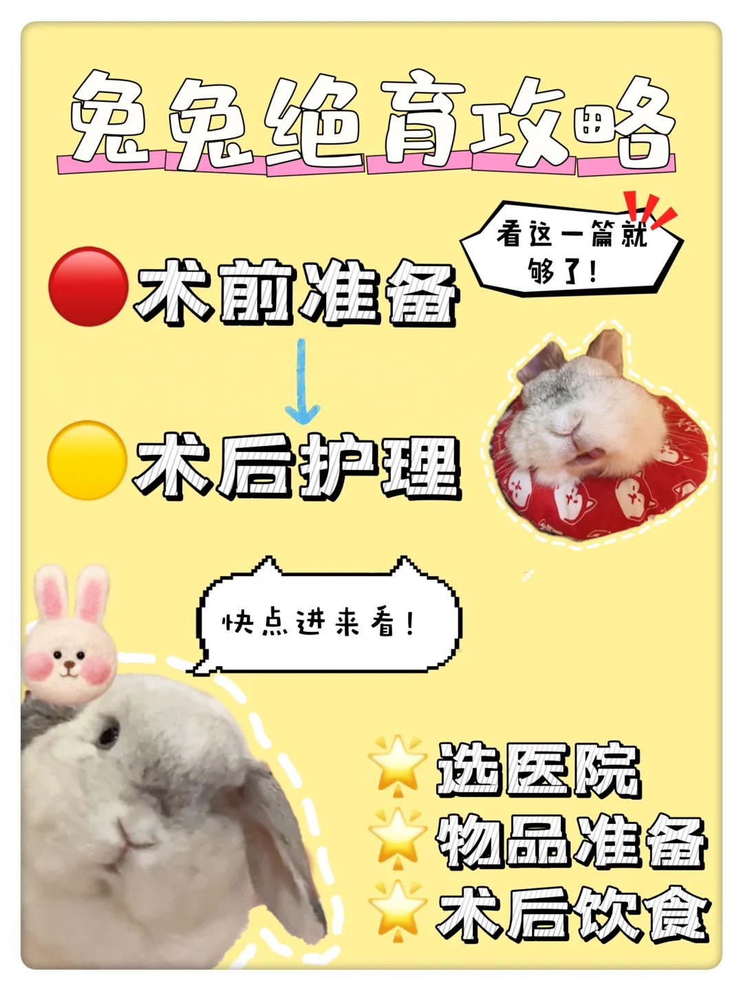 兔兔绝育超详细攻略/选医院/术前后准备护理
