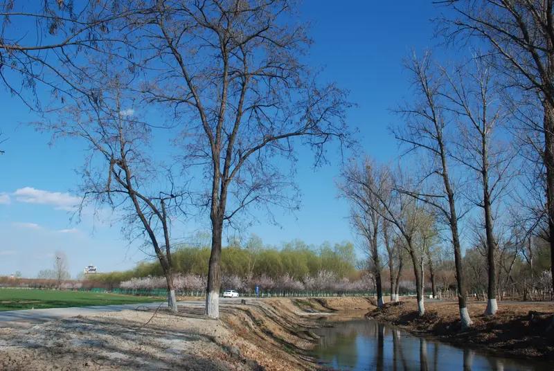 上联“冬去山明水秀”，我对“春来柳绿桃红”。冬天离去，山川褪去了银装素裹，水变得