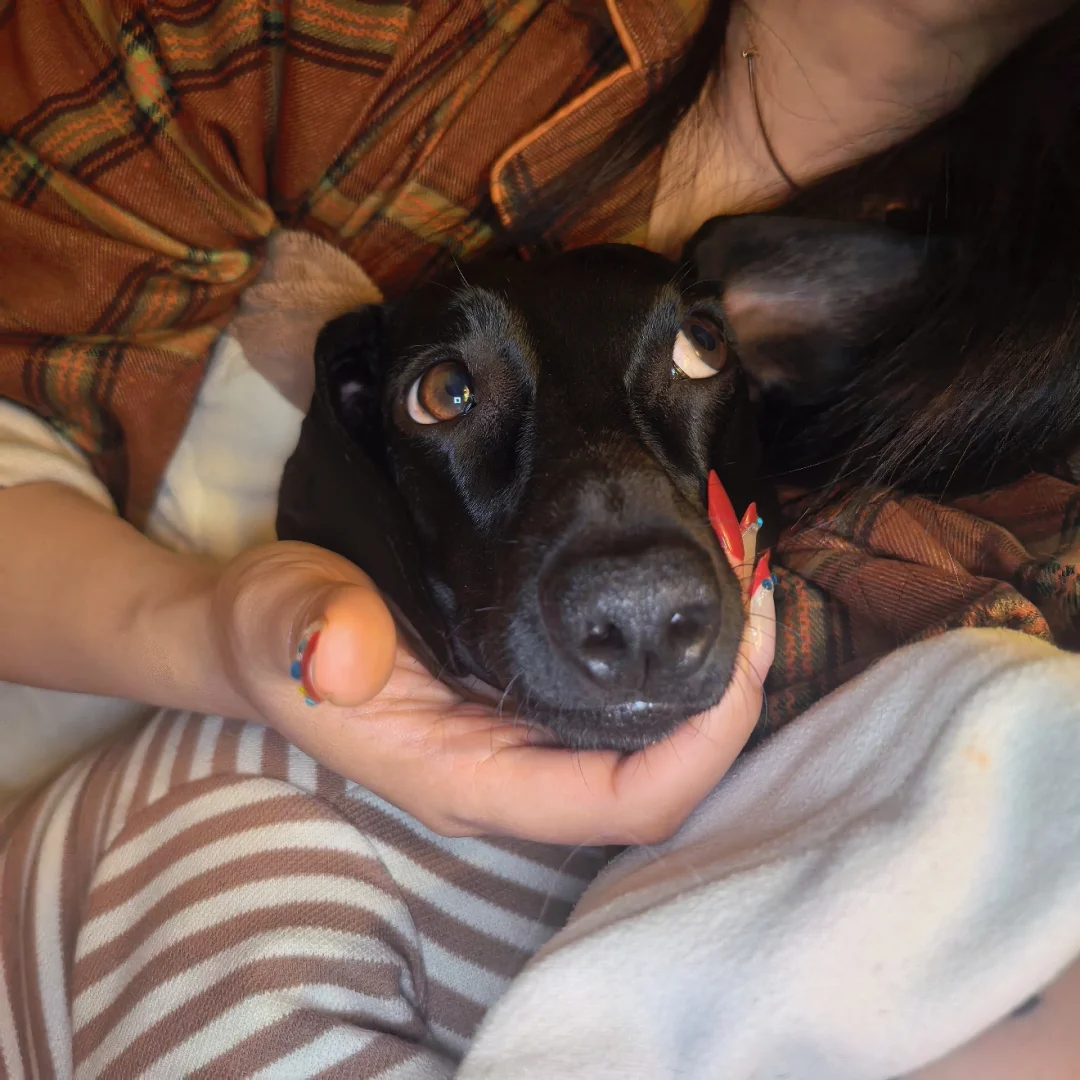 猜猜是灵珠还是魔丸