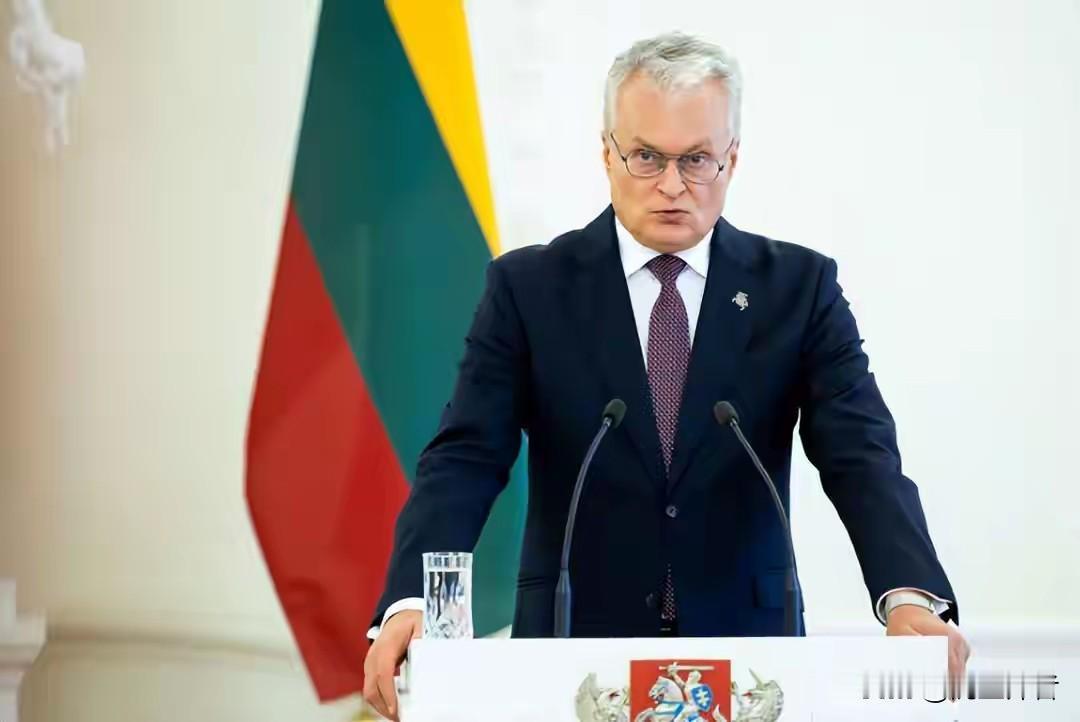 立陶宛在国际社会陷入孤立，欧盟、北约内部对其批评增多，美国援助承诺落空。

背信