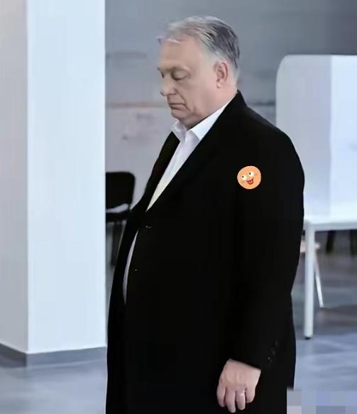 大国救不了欧尔班，美俄皆尴尬。
欧尔班败了，被匈牙利民众所抛弃，这也印证了他亲俄