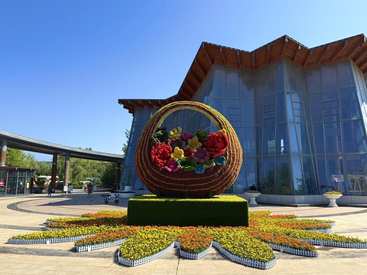 3月10日，农历正月二十二，春意渐浓。宝鸡植物园迎来了百花盛开的季节，迎春花、梅