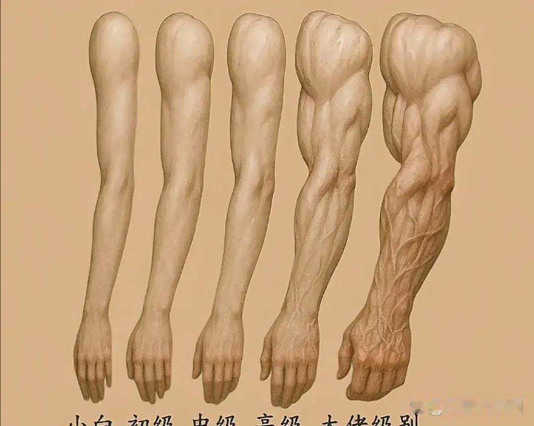 看看你是哪一级 