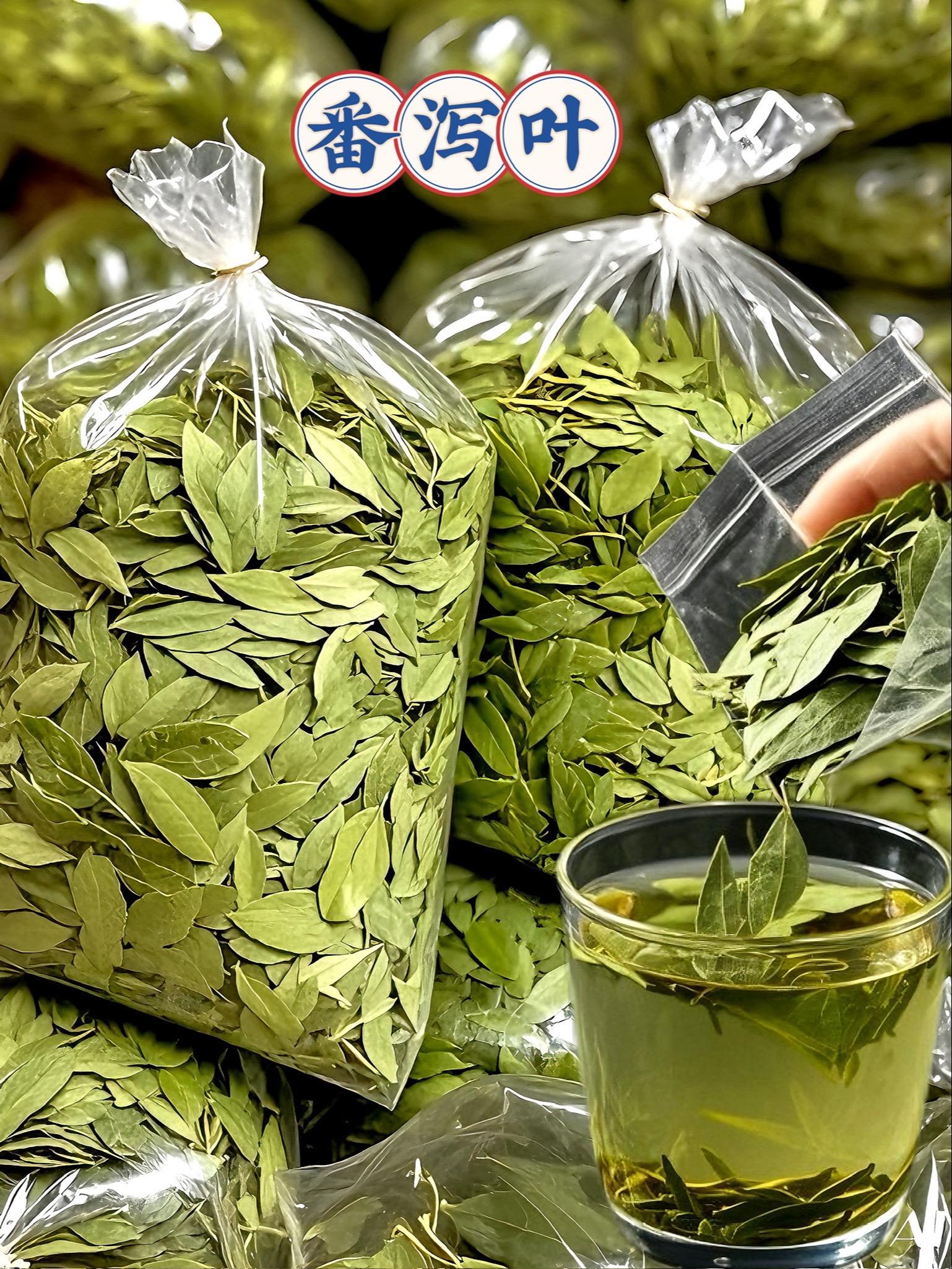 邂逅番泻叶，探寻自然的秘语 在植物的奇妙王国中，番泻叶宛如一位低调的隐...