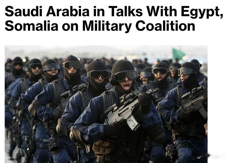 沙特阿拉伯正计划，通过与索马里和埃及组建新的军事联盟，将阿联酋排除在外，该联盟将