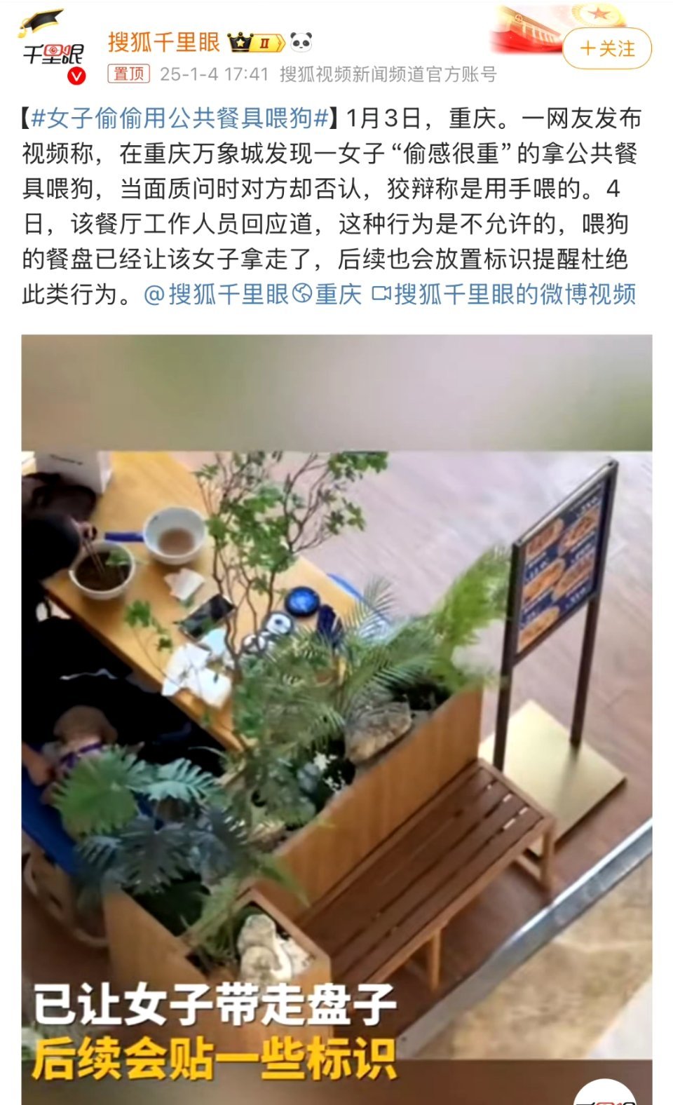 女子偷偷用公共餐具喂狗 都被拍到了还“狡辩称是用手喂的”，下一步她是不是要投诉餐