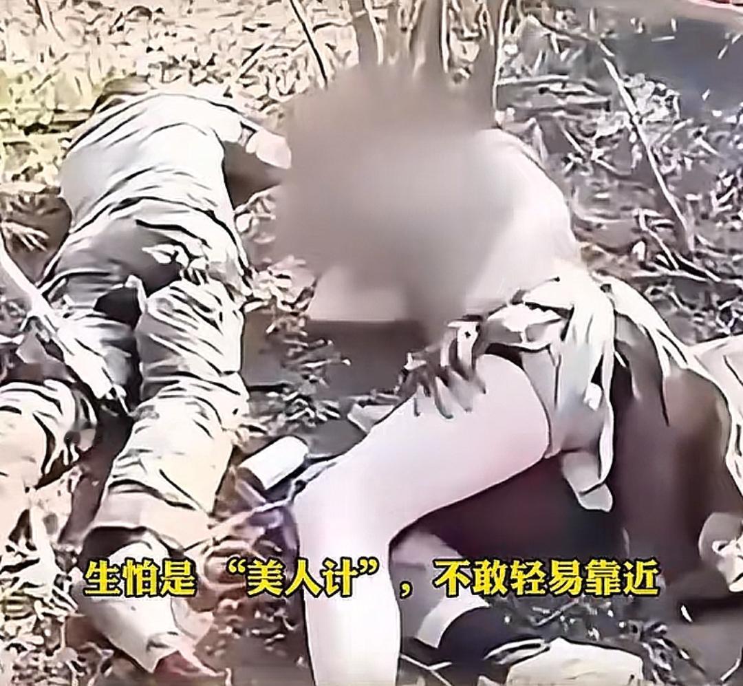 俄乌冲突下乌克兰女兵的挣扎：从网红到战俘，她们的命运该何去何从？
 
一、战场“