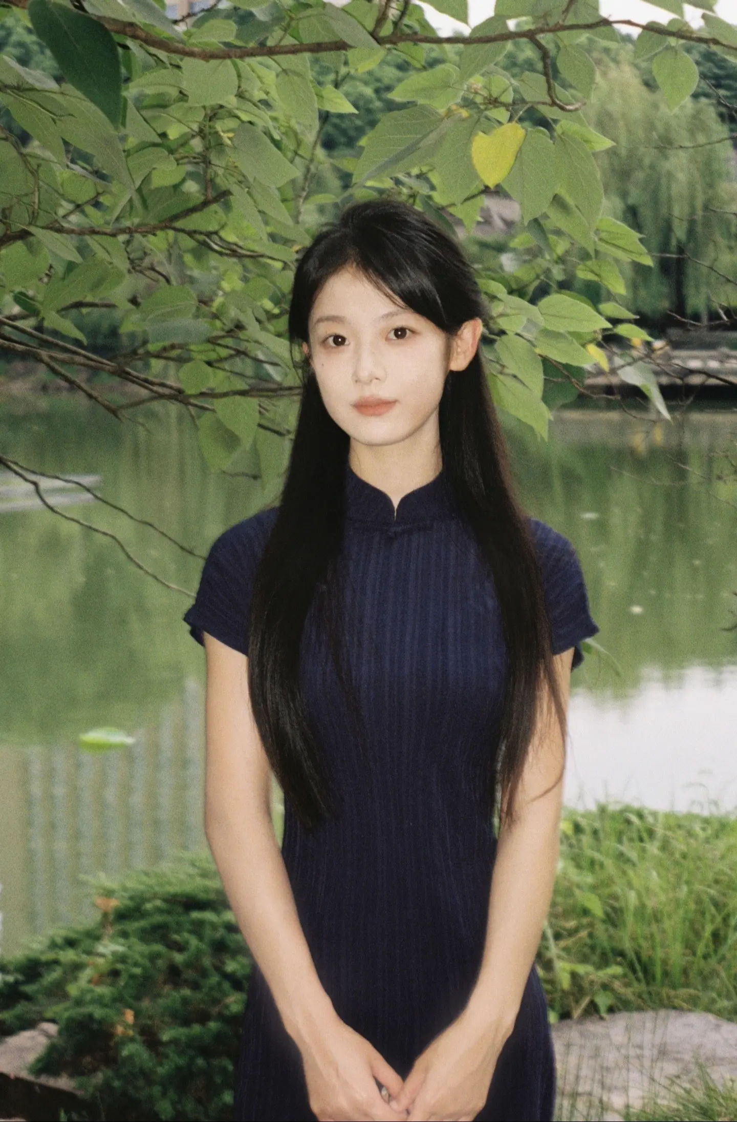 人淡如菊。
