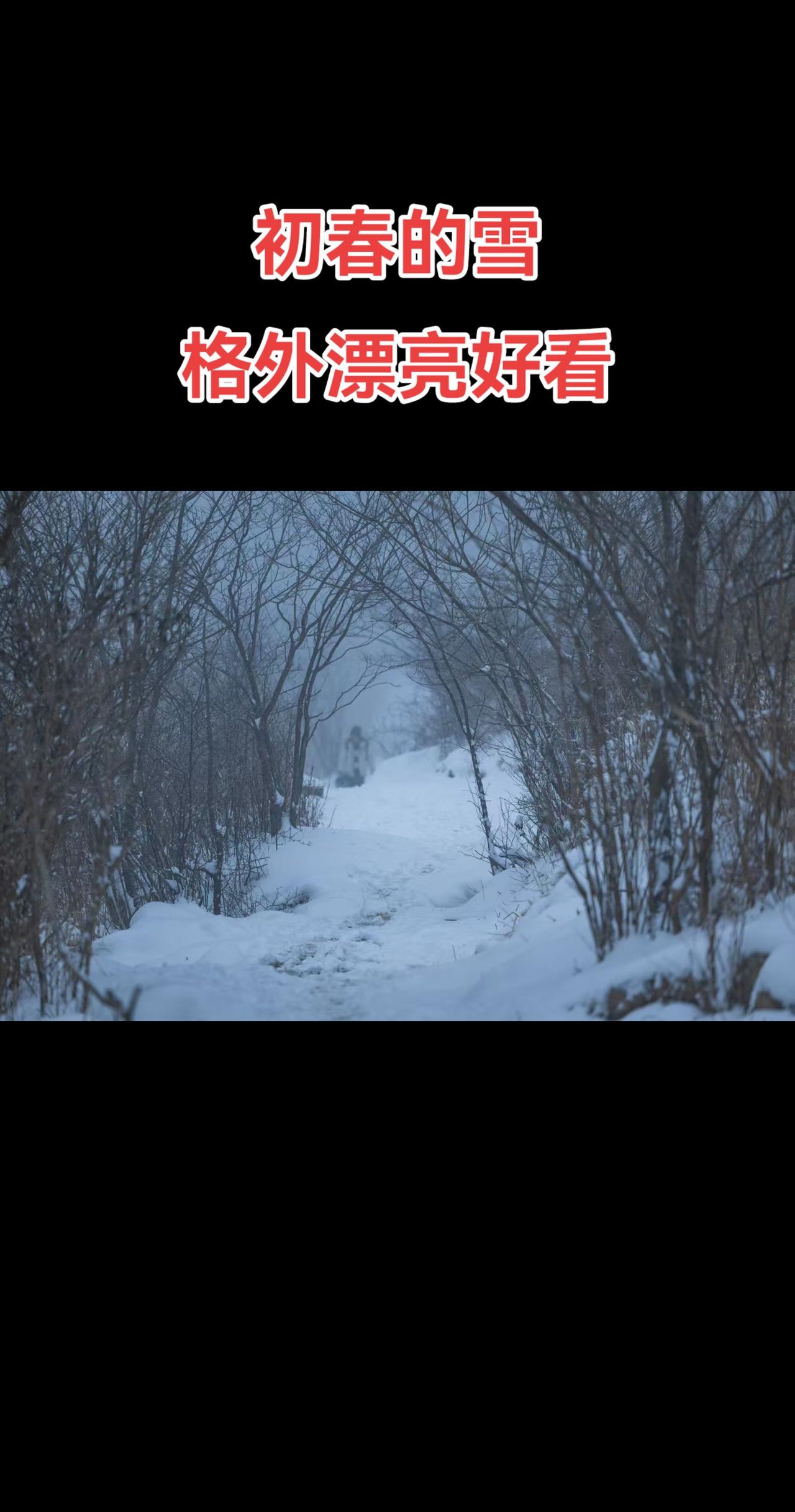 过雨空林万壑奔，夕阳野色小桥分。春山何似秋山好，红叶青山锁白云。一封朝奏九重天，