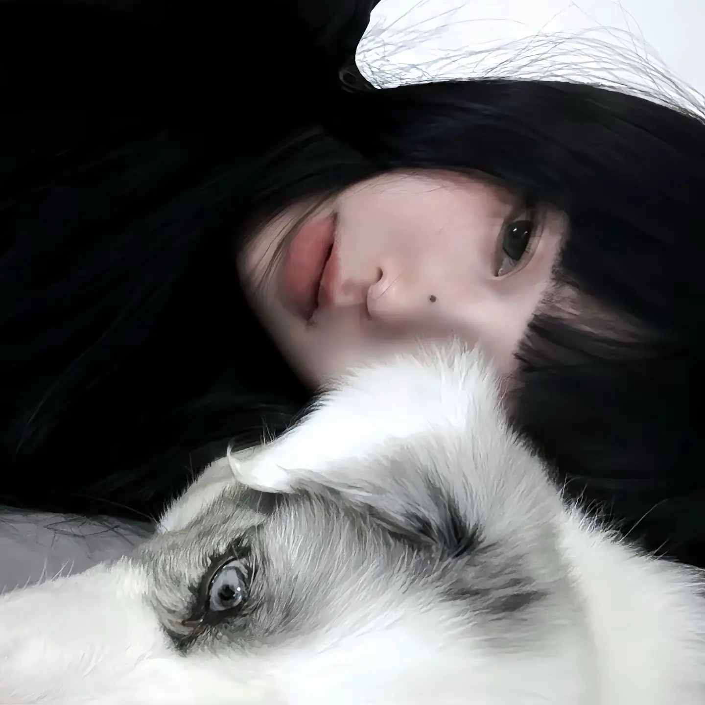 君似明月我似雾