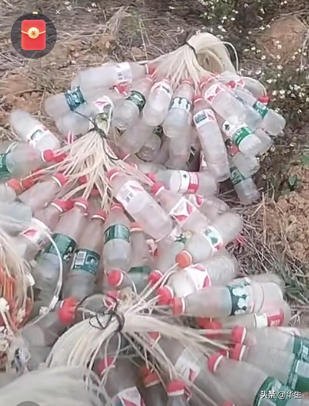 给果树打孔输液？别让这种“伪科学”，寒了千万果农的心！
 
在柑橘产区，一排排果