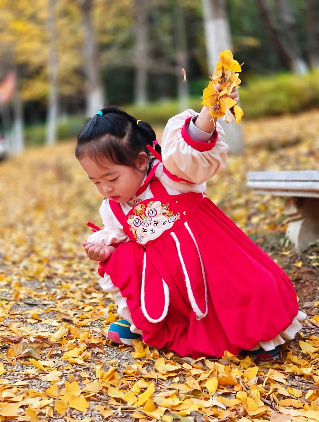 冬日里 属于银杏的那一份浪漫🍂