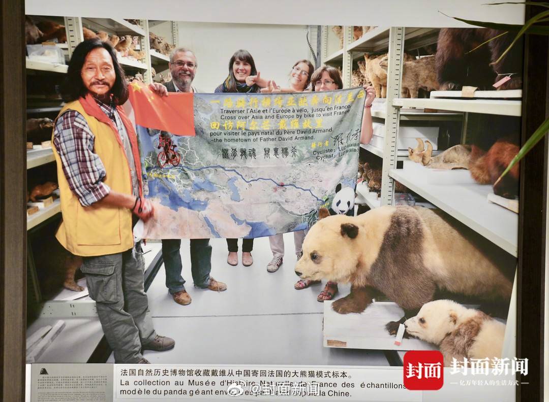 【属于个人的“西游记” #老人因大熊猫骑行3万里开博物馆#】 从“熊猫老家”到大