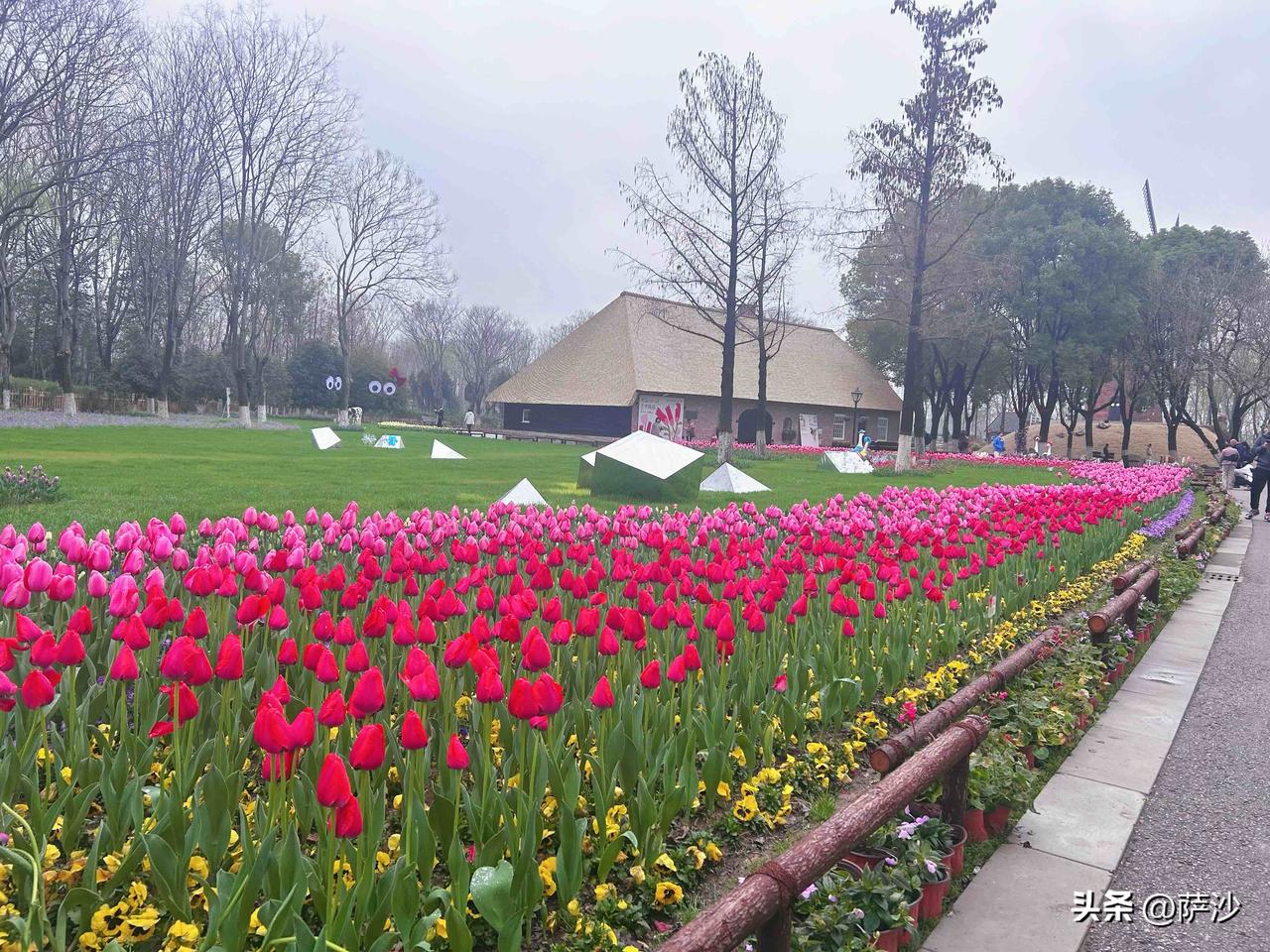 喜欢郁金香的朋友可以来南京绿博园，现在花都开了，顺便还可以看看江景！