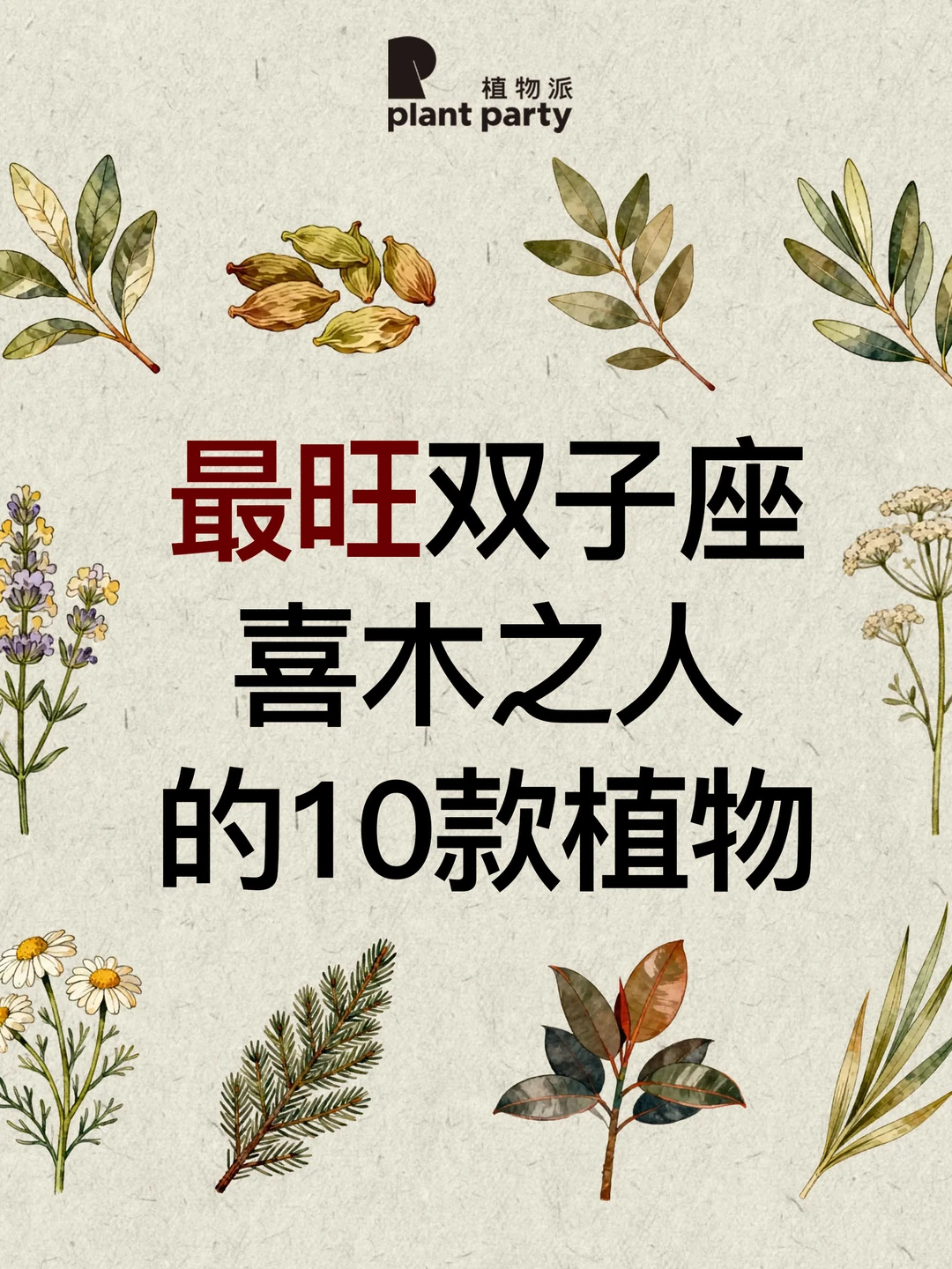 自然疗愈｜双子座喜木之人最适合的香气