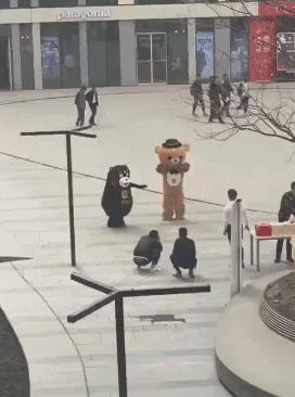 马上都30万粉了（挠头） ​​​