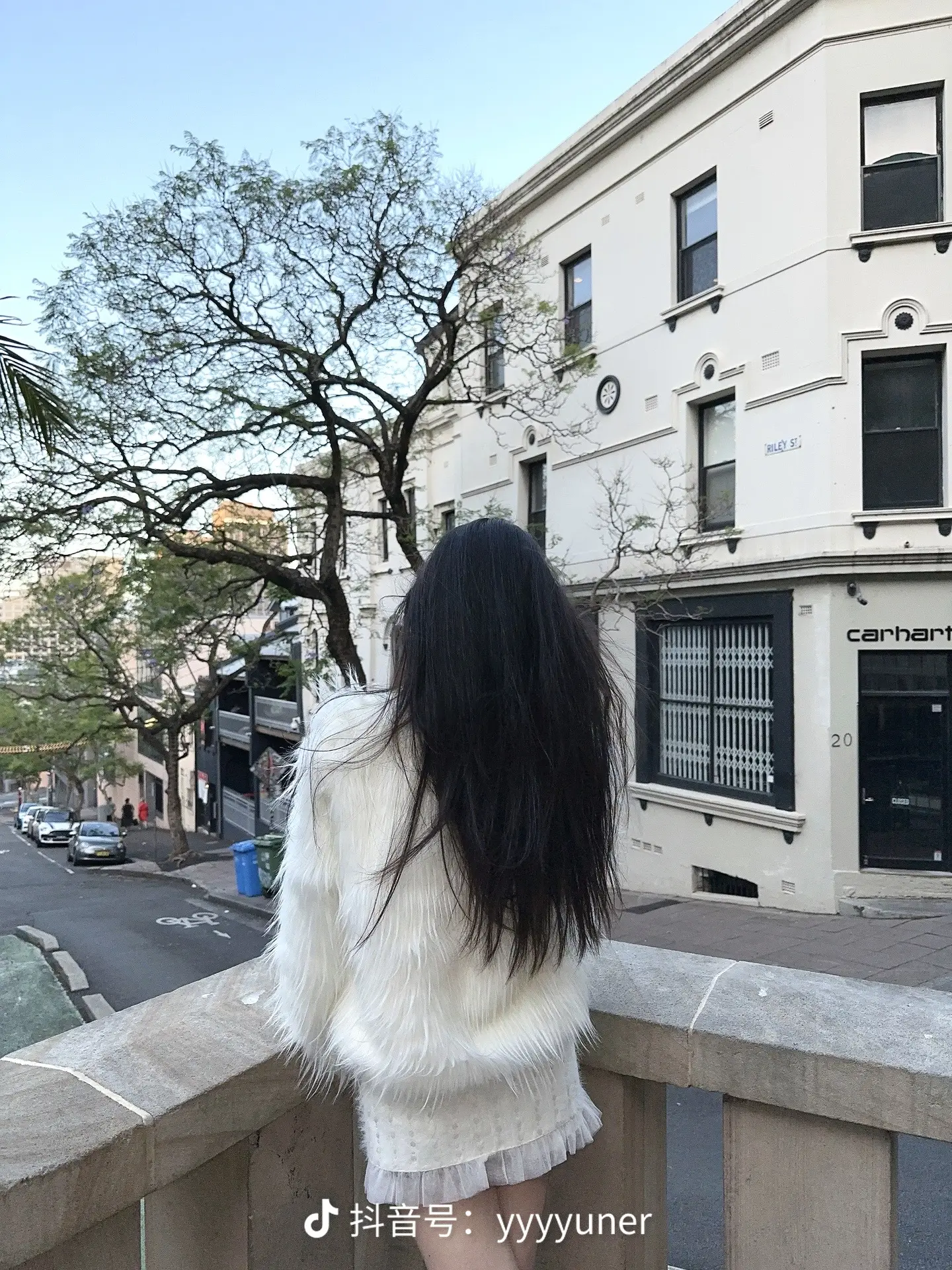 缘分落地生根是我们。
