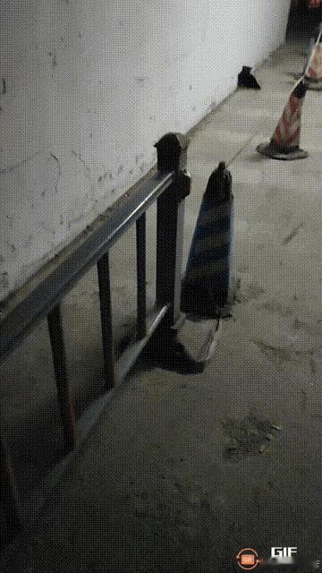 手机不敢玩这么多了，差一点就买香肠喂猫了。