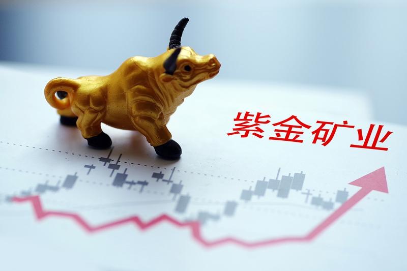 两年前，10块钱全仓买入紫金矿业。那时候想法很简单：看好，就上。后来涨到12块多