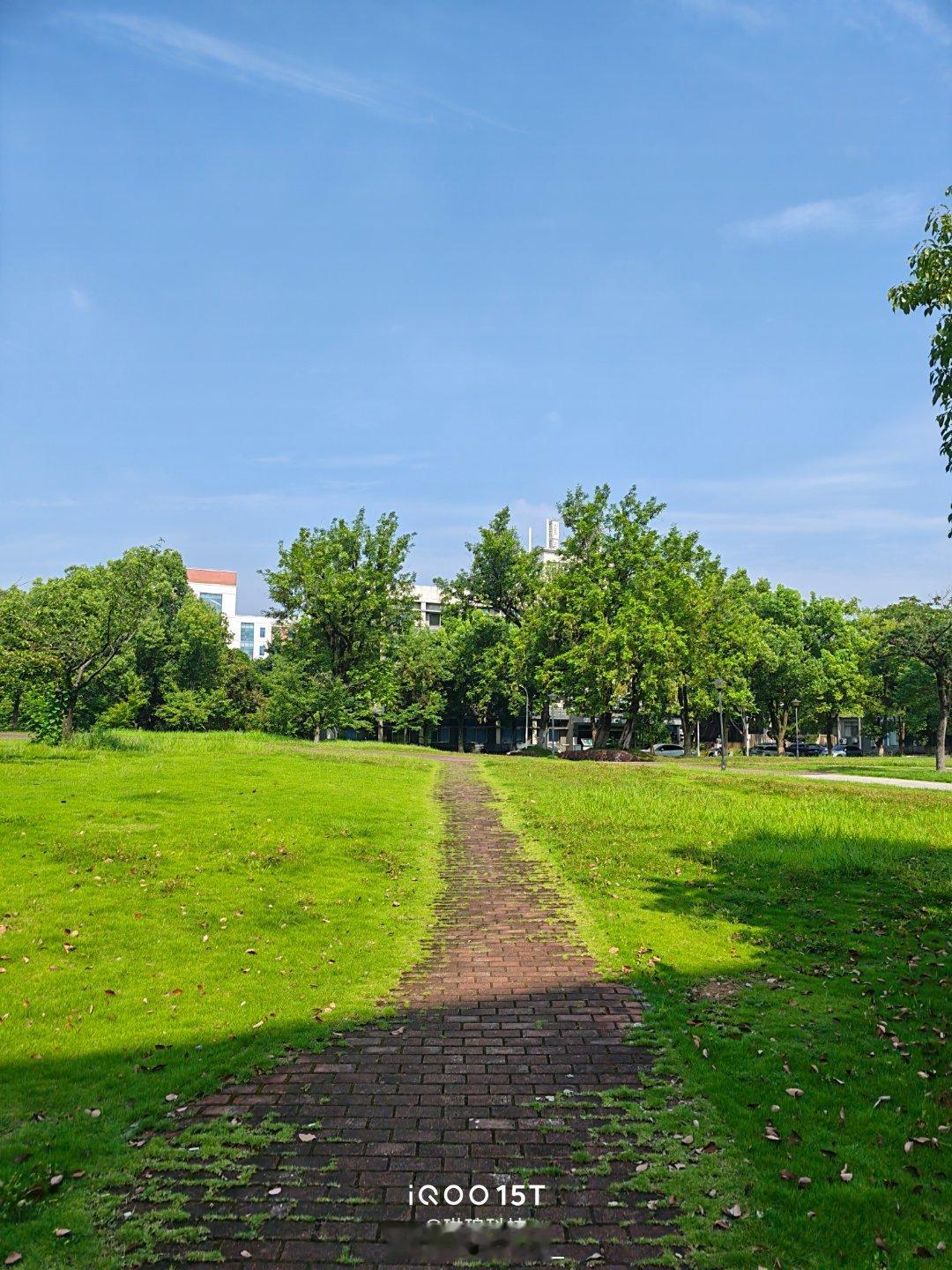 夏日校园碎片｜iQOO 15T直出实拍忠于实景的色彩风格，蓝天与草木的色调自然通