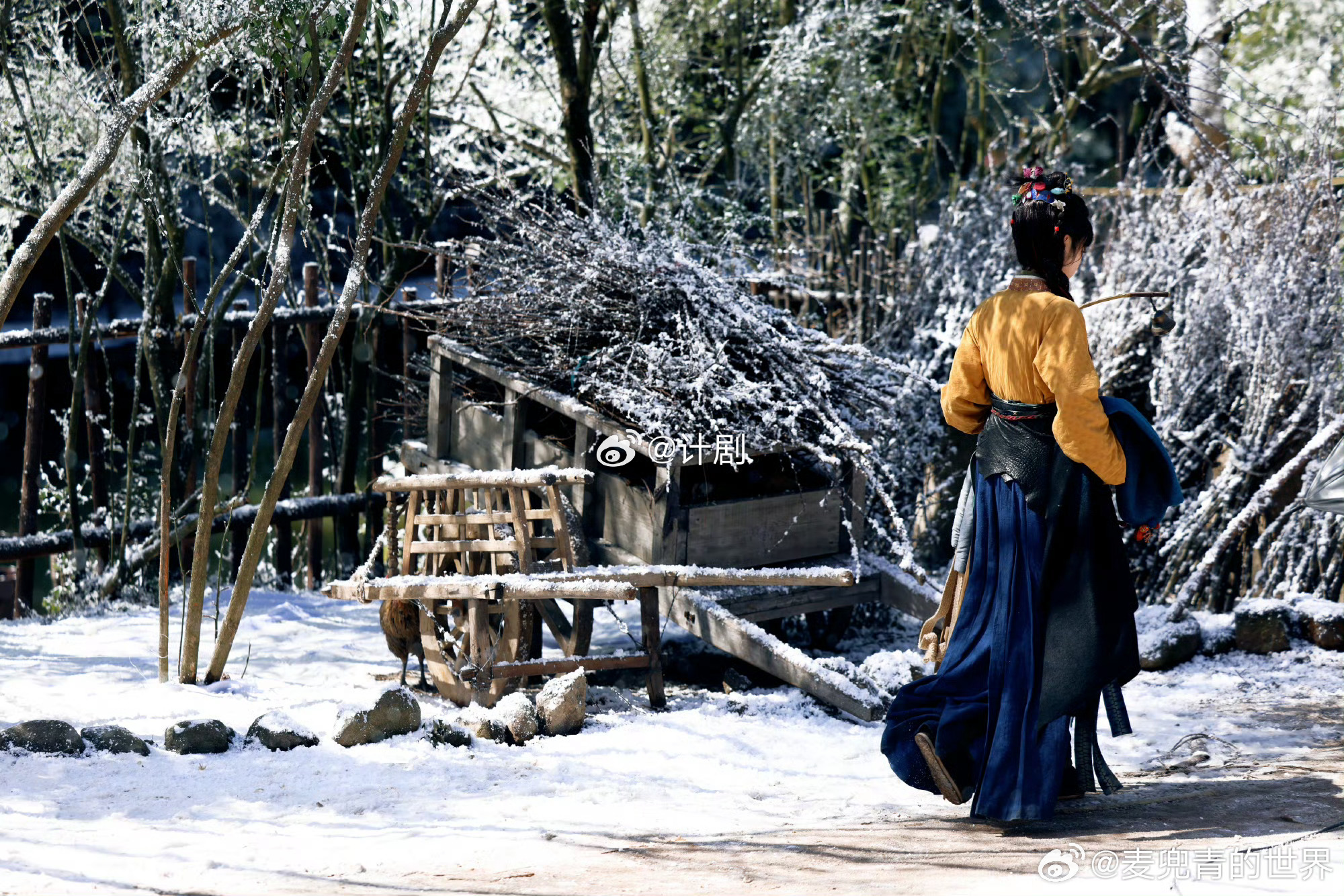 樊长玉是全世界最懂曹植的人 樊长玉背诗这段太绝了，忘词都能编出花来，把豆子的委屈