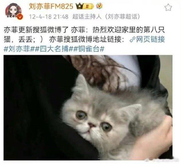 #刘亦菲黄亦玫共同点#《玫瑰的故事》黄亦玫的猫叫丢丢怕不是刘亦菲私心……[笑cr