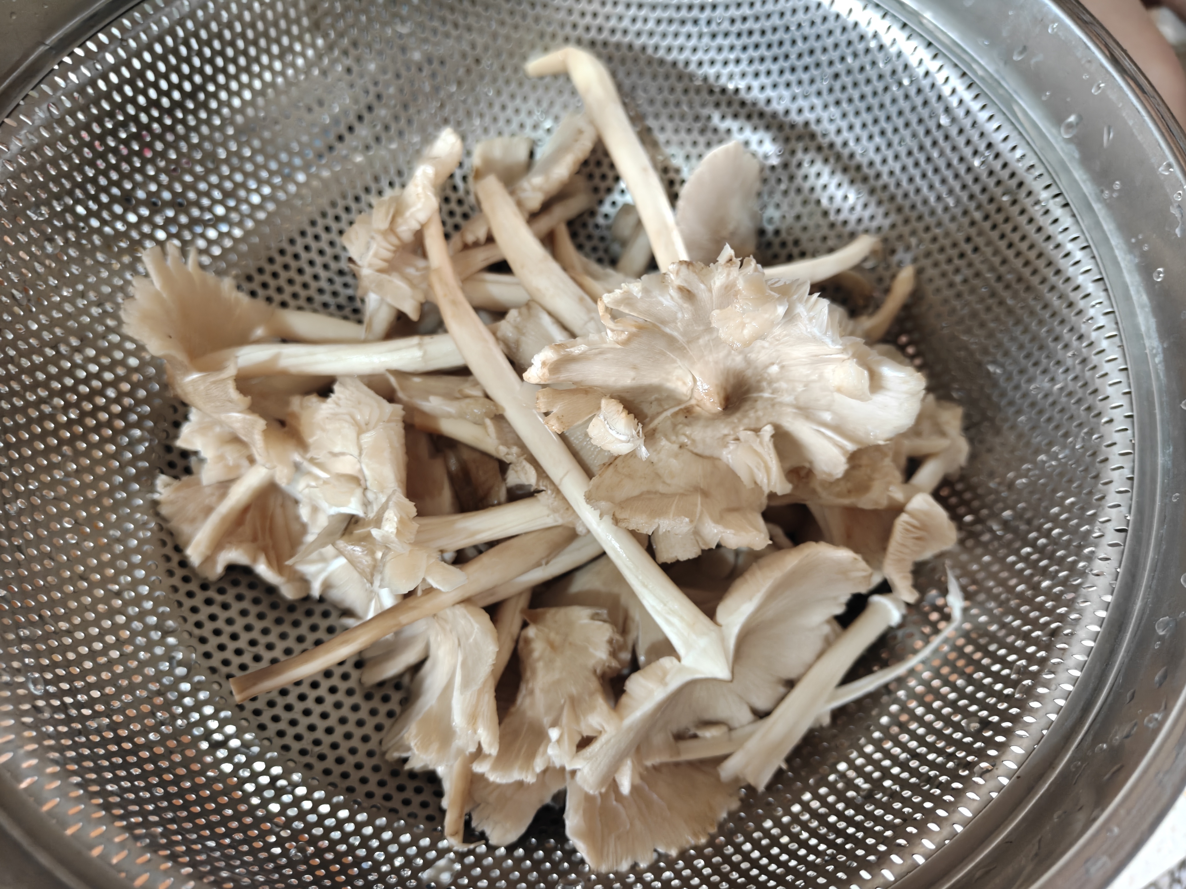 天天下雨正当时节，买点鸡枞回来尝尝鲜