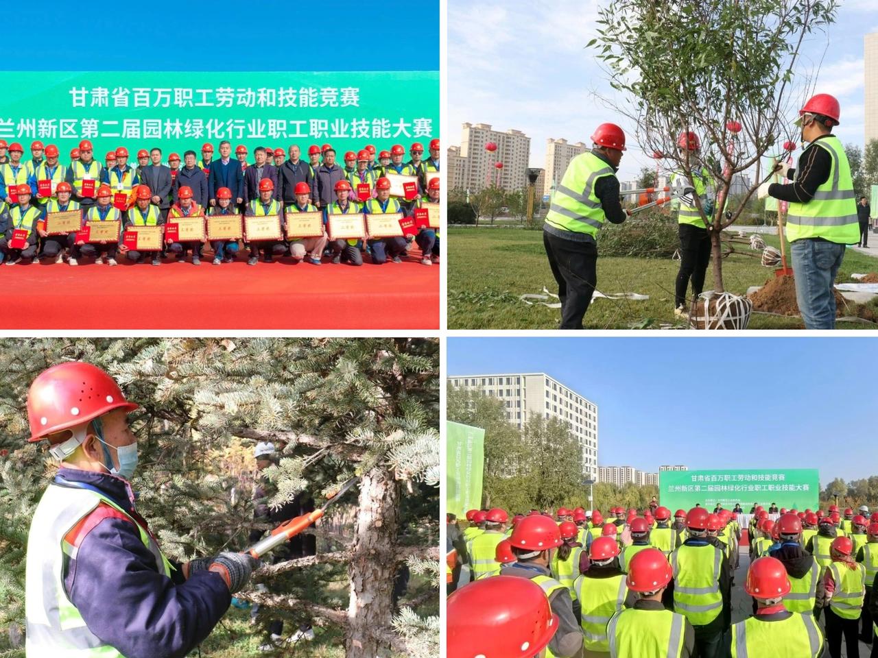 兰州新区举办第二届园林绿化行业职工职业技能大赛

金秋送爽，匠心汇聚。10月17