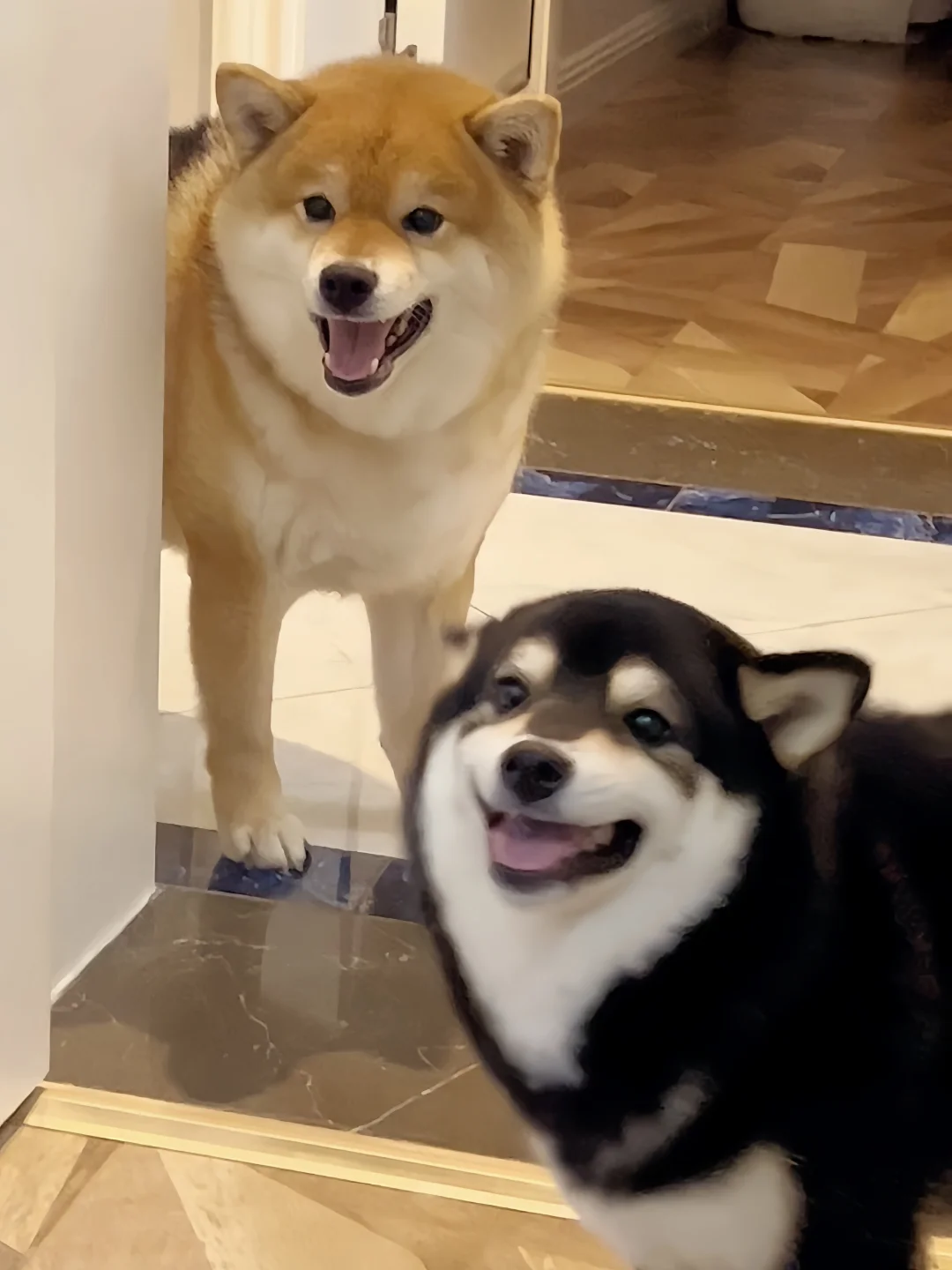 人 请问我可以当童模吗