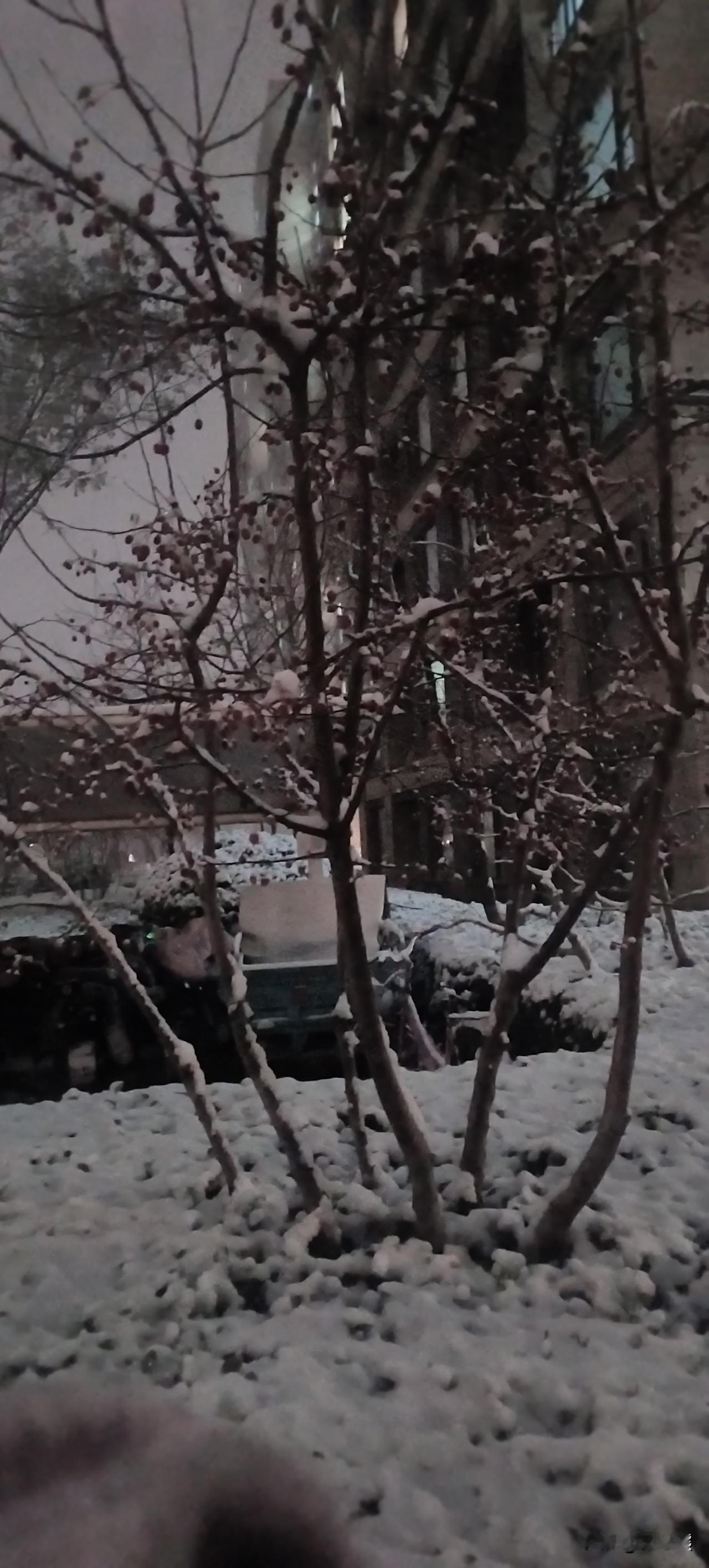 只要自己觉得适合就好了。
结婚是一件严肃的事情，现在结婚基本上都流行穿婚纱了，凤