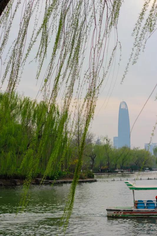 相册里最满意的照片，是在济南春天拍的。泉城的春天从一场细雨开始，那雨轻柔得如同薄