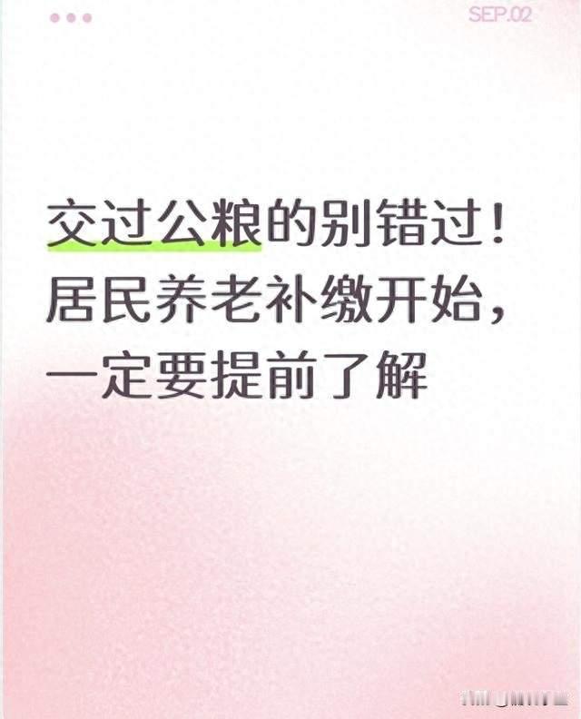 交过公粮的老人速看！养老补缴门道深，弄错一步白跑腿还吃亏