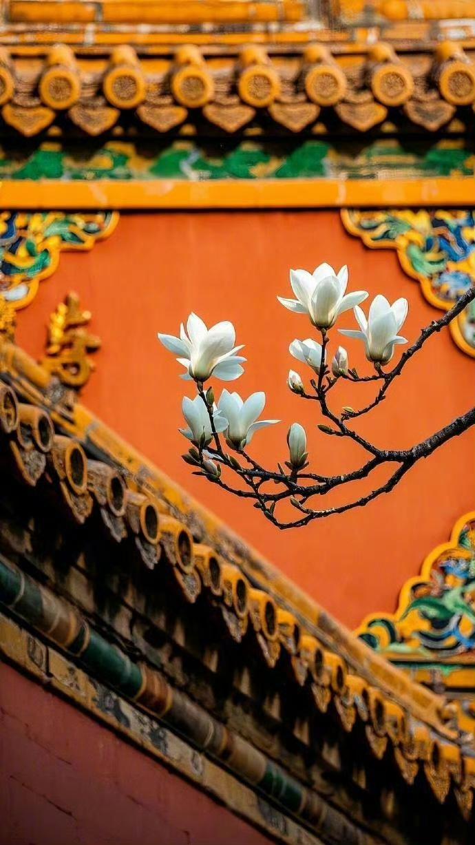 只有中式美可以把红黄绿配的这么好看