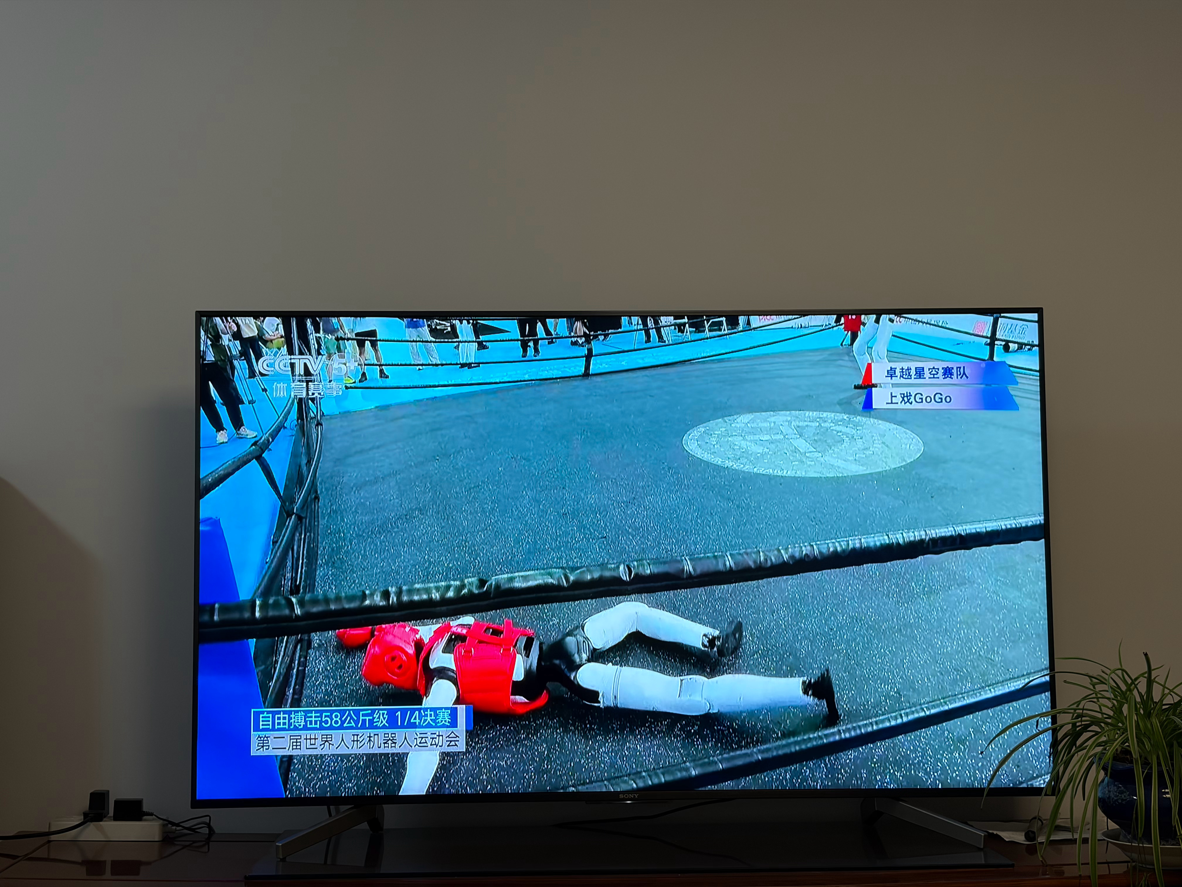 赛博朋克…铁甲钢拳，这个世界最终还是发展成我不能理解的样子，老了老了 ​​​