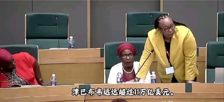 议会现场直击！津巴布韦质问“锂矿被贱卖”：官员没说错，但现实很残酷

这段全网刷