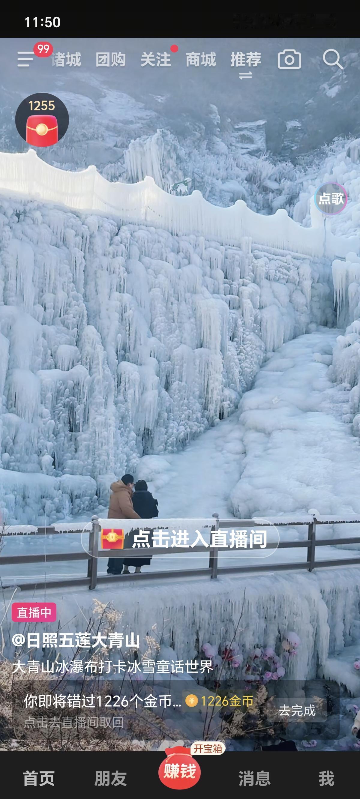 开车去这儿玩吧，冰雪玫瑰应该很惊艳吧。