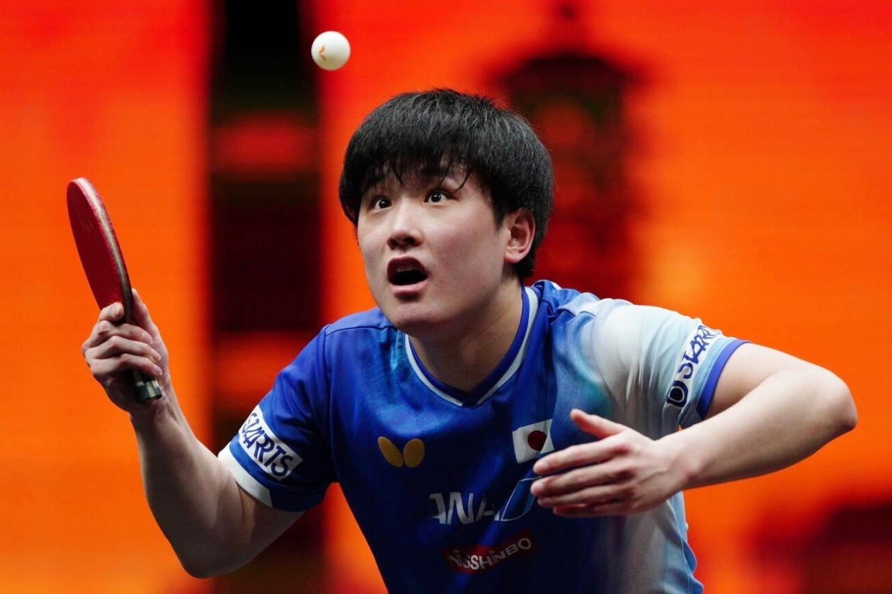张本智和张本智和wtt香港总决赛2025男单QF 图集📷 part.1cr.s