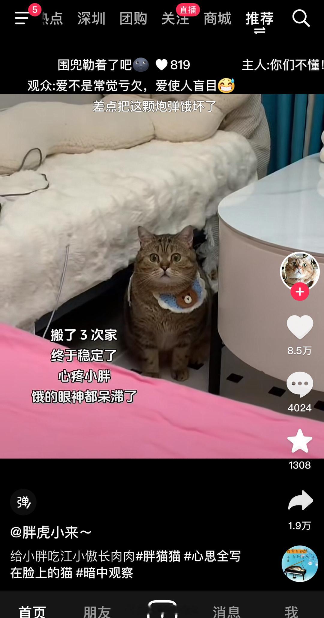 抖音崩了 大眼仔总是看热闹不嫌大，又来通报某某软件崩了不过我还能正常使用诶[do