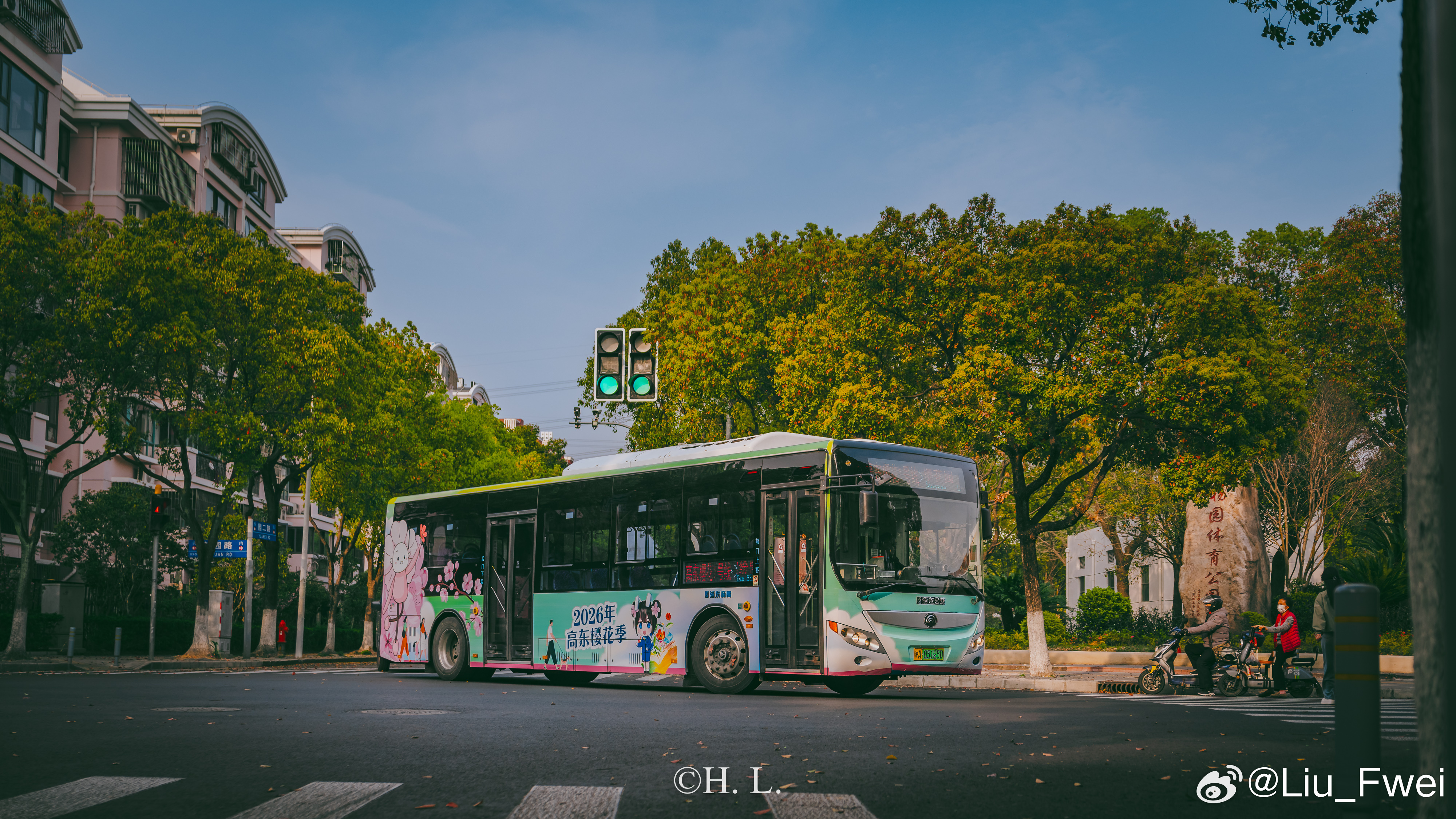 高东樱花班车第三季。高东樱花班车1号线和大糖樱途专线高东樱花节申沃客车宇通客车浦