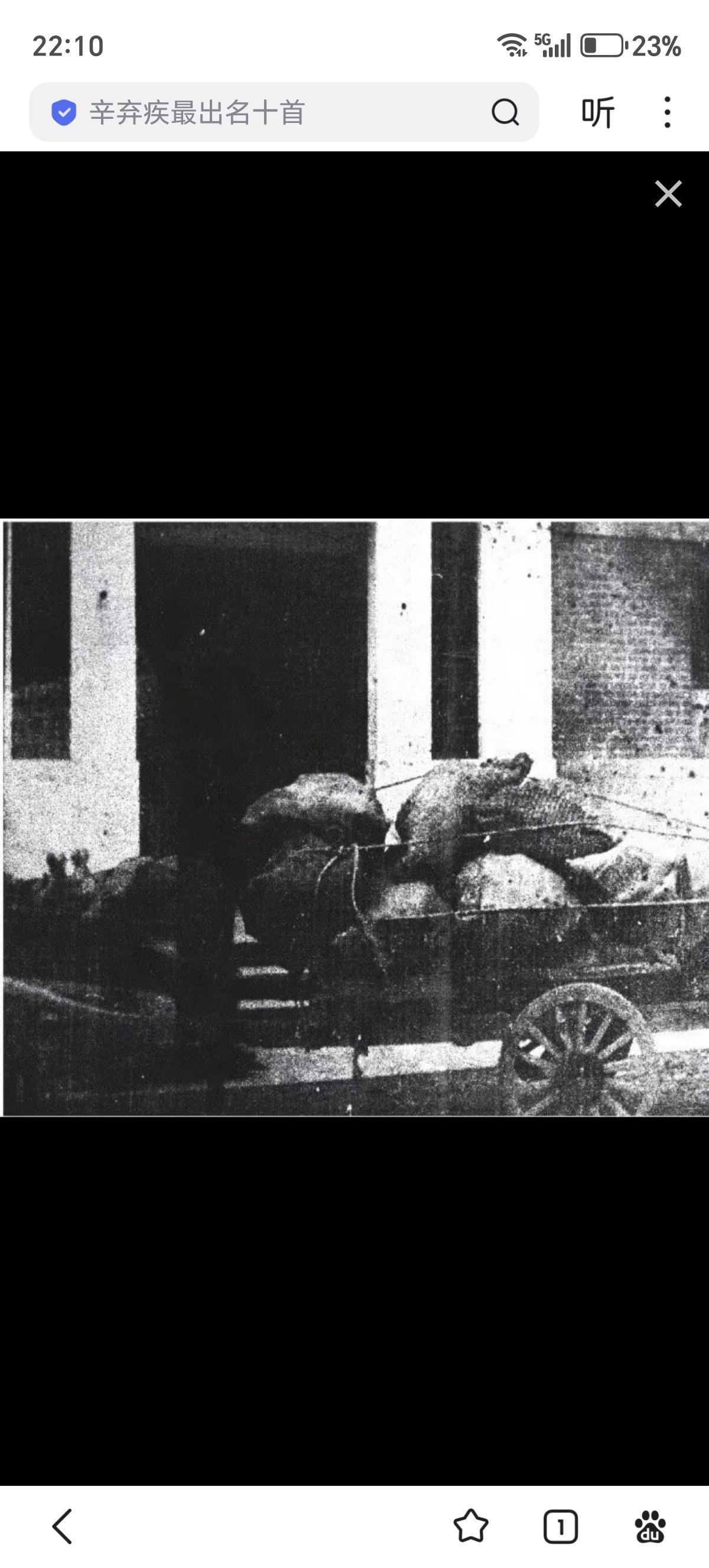 1937年南京沦陷后，日军肆意抢掠想要的任何东西，难民的粮食、医院的被服、外侨的