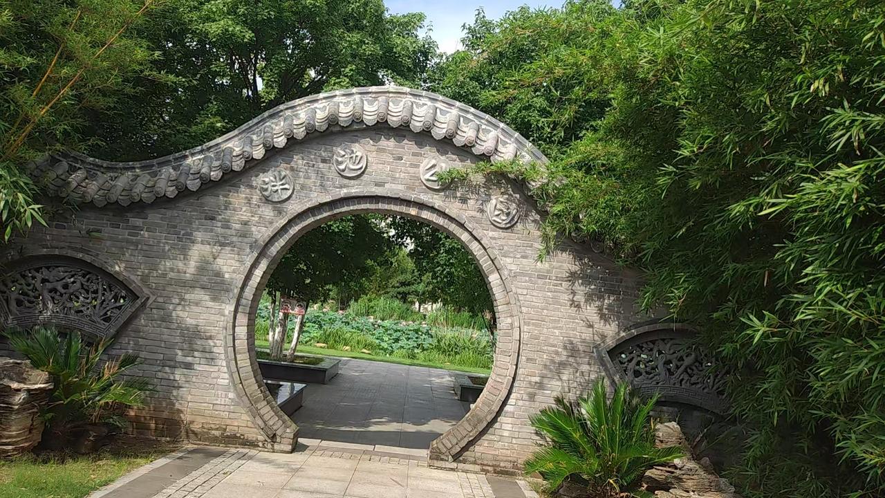 夏日生活打卡季