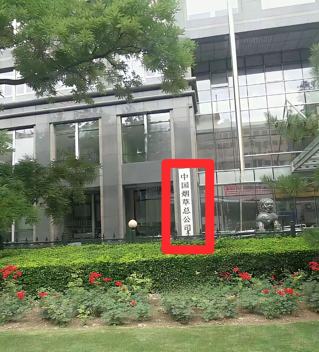 昨天睡觉给笑醒了，因为梦见我过五关斩六将入职这家公司了。