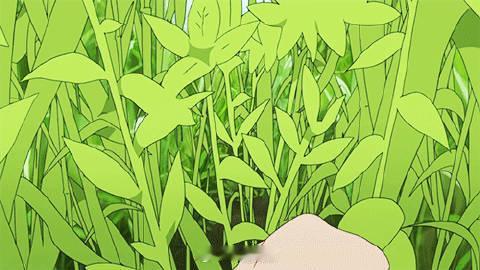 点赞，所有的霉运都和你无关 